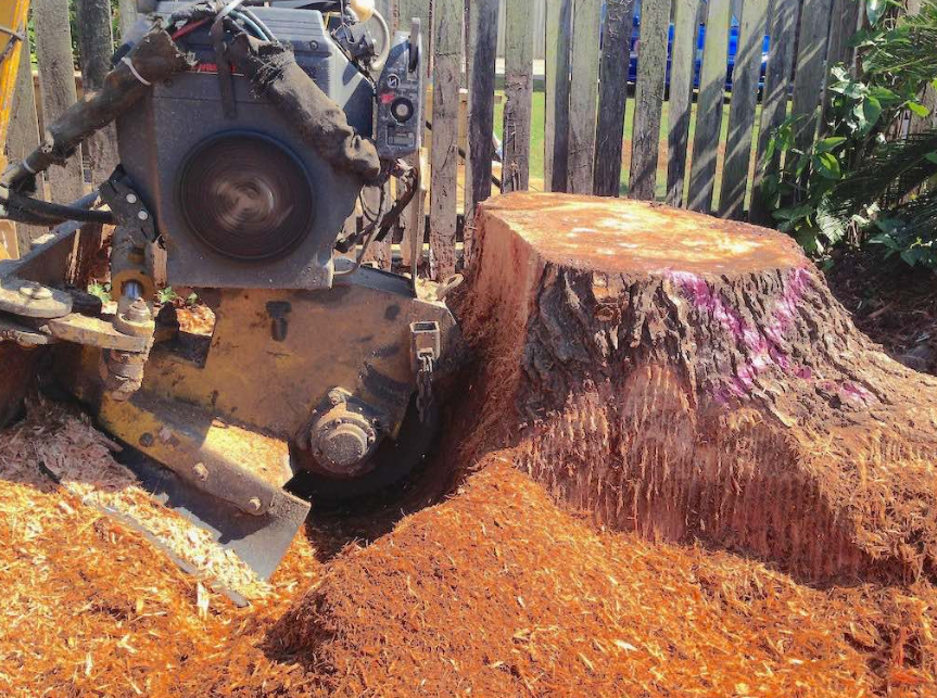 Stump Grinding Gold Coast