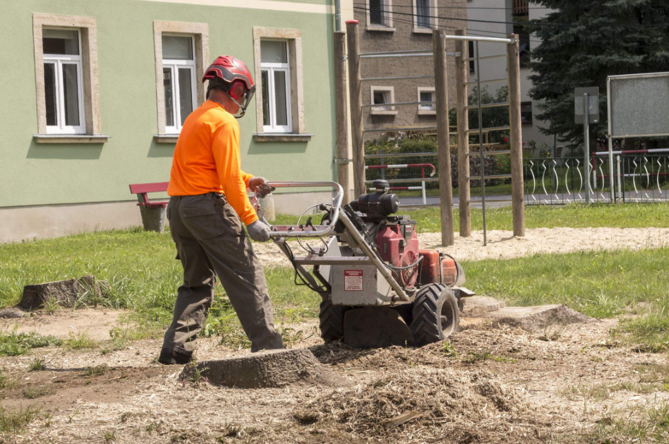 Stump Grinding Gold Coast