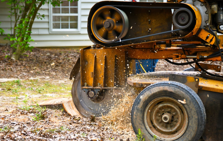 Stump grinding on the Gold Coast